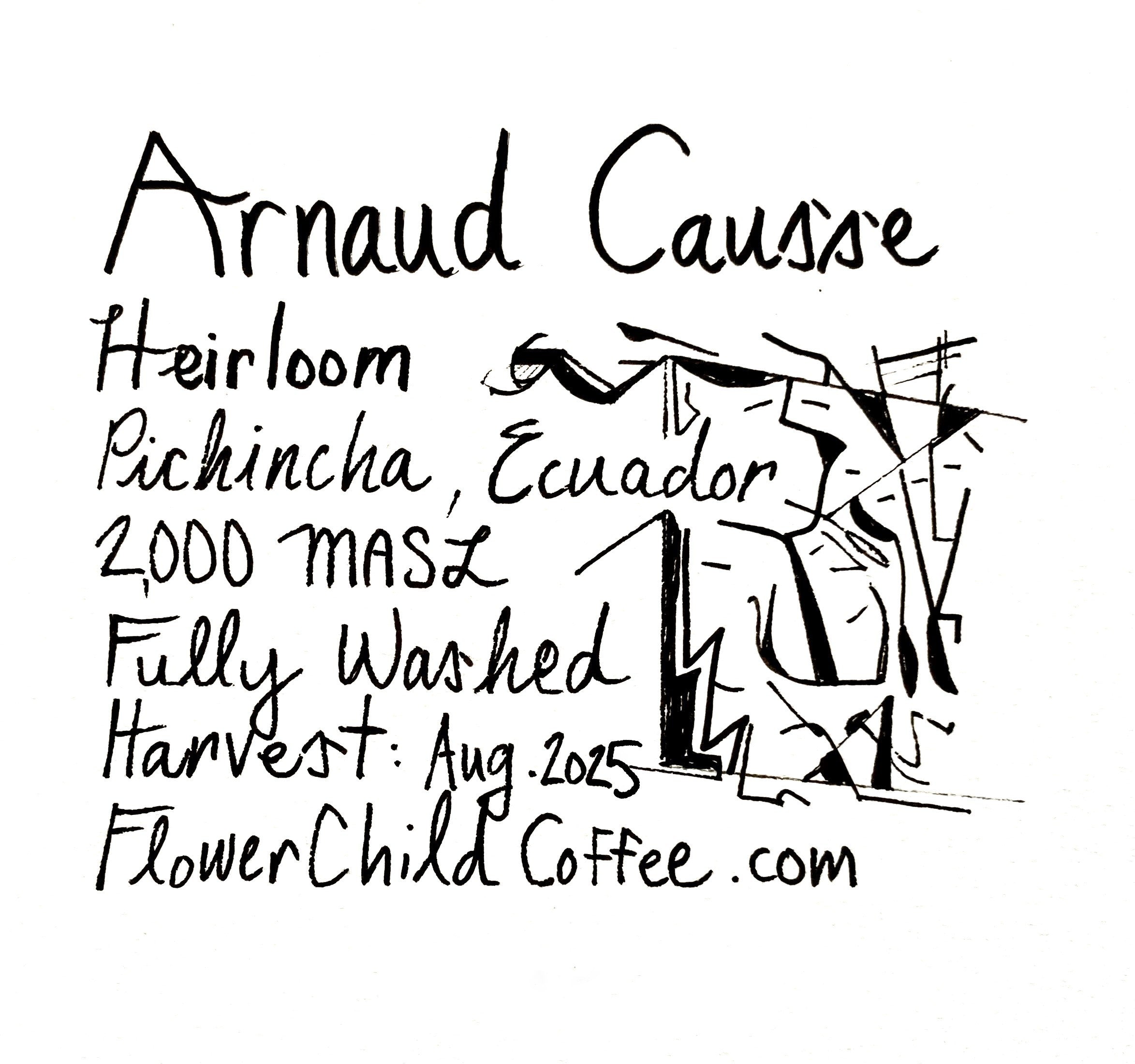 Photo of Arnaud Causse - Heirloom