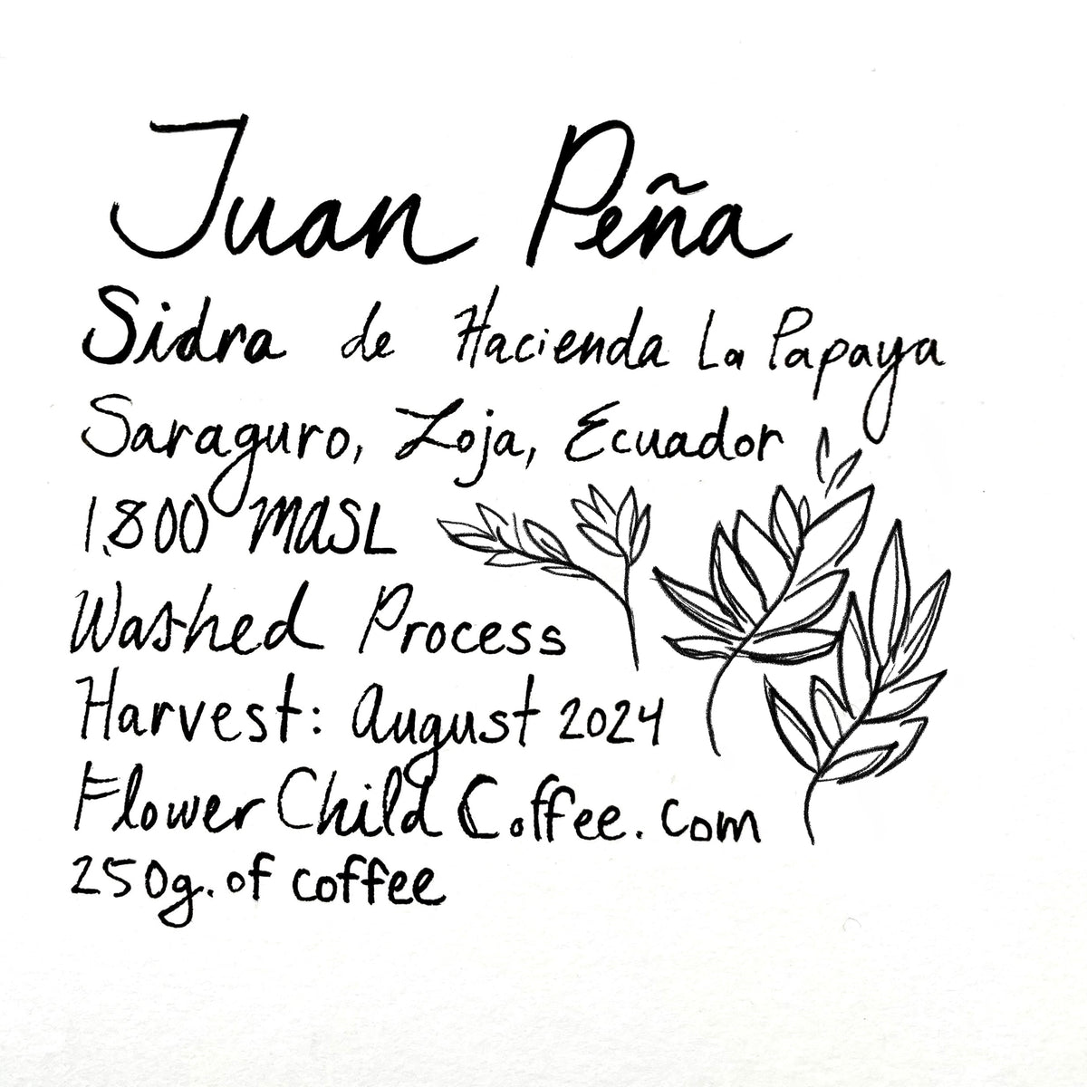 Photo of Juan Peña - Sidra