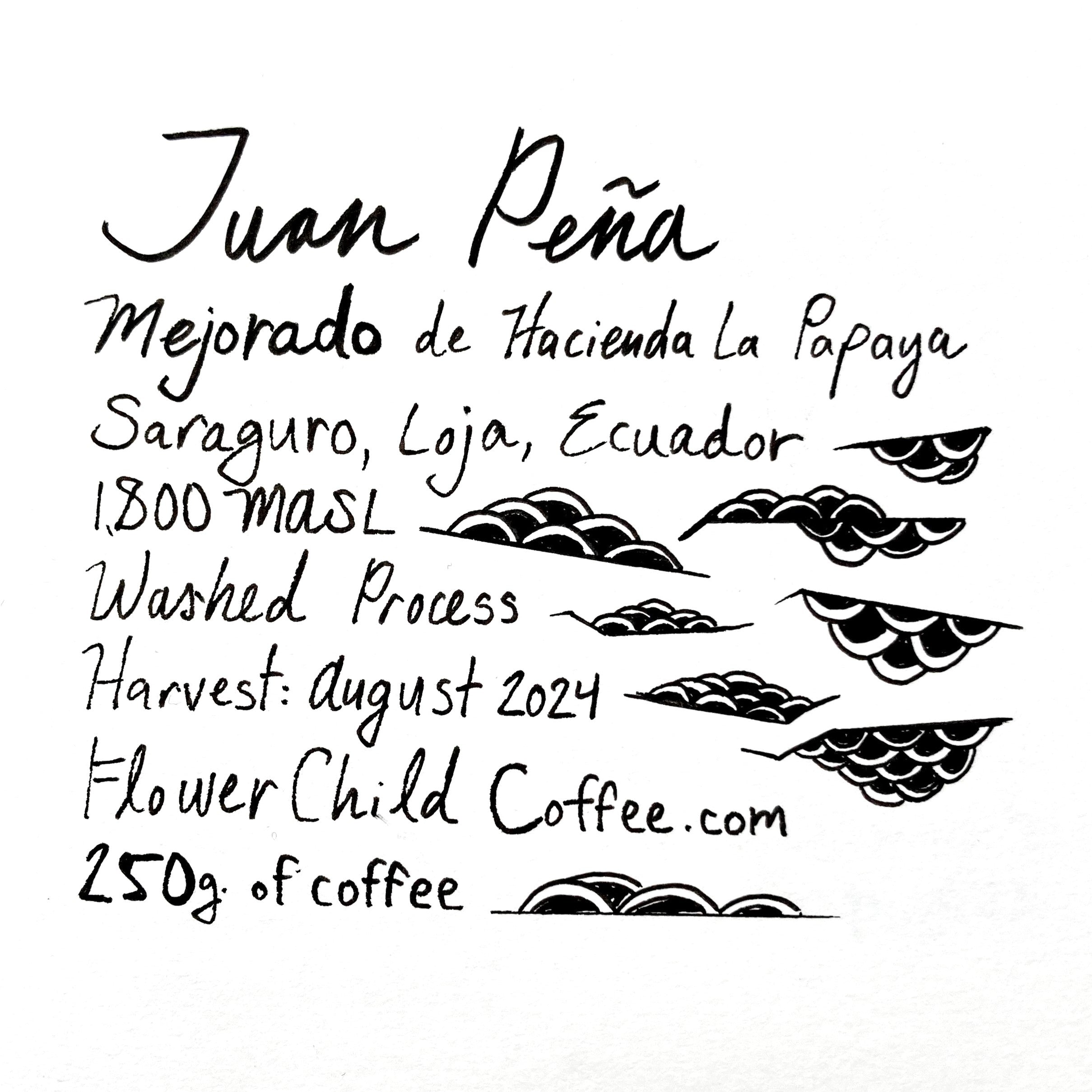 Juan Peña - Mejorado packshot