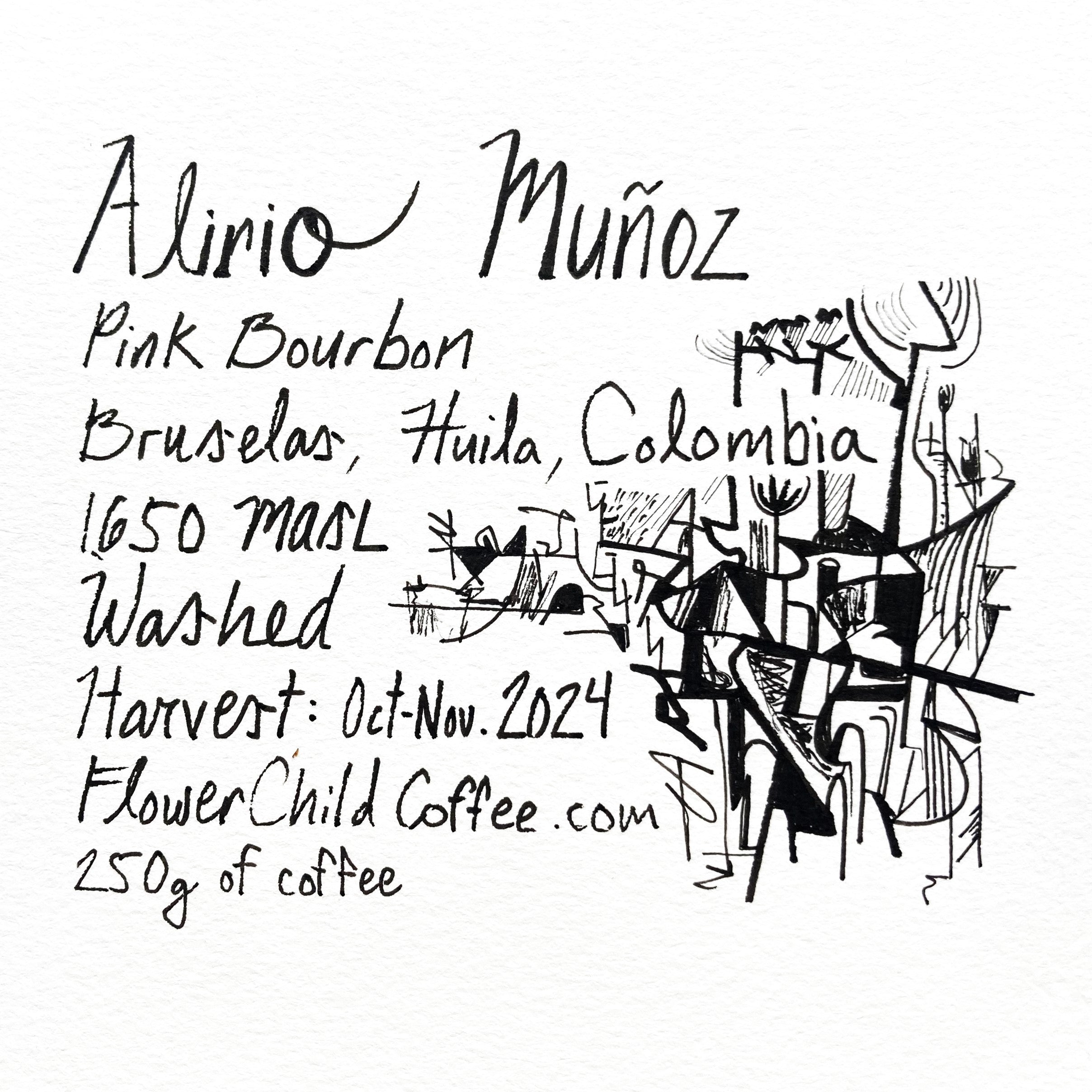 Alirio Muñoz packshot
