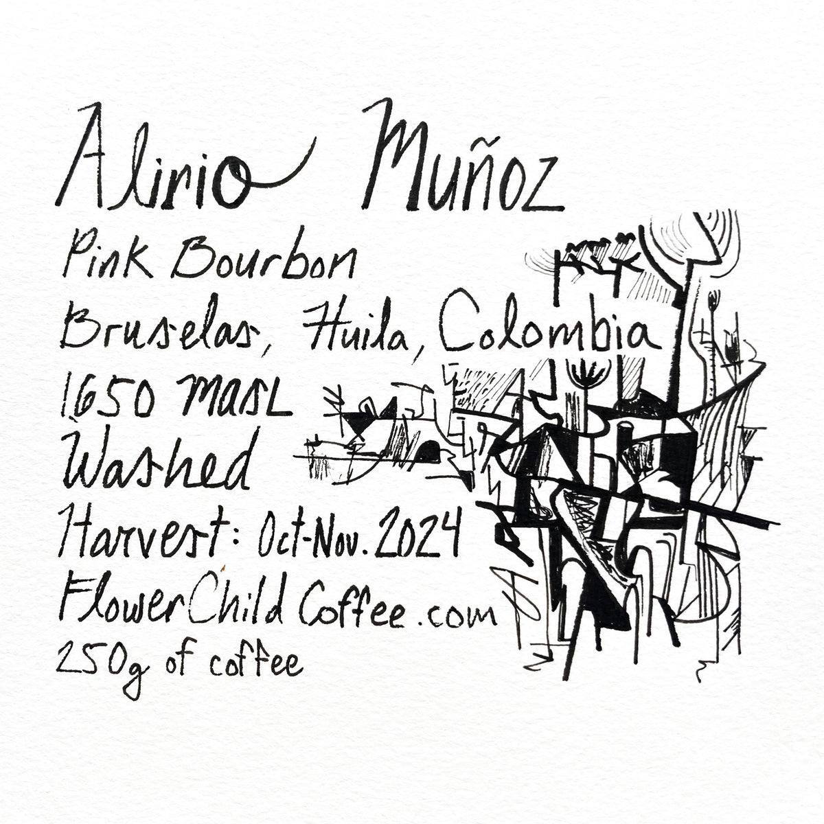 Photo of Alirio Muñoz
