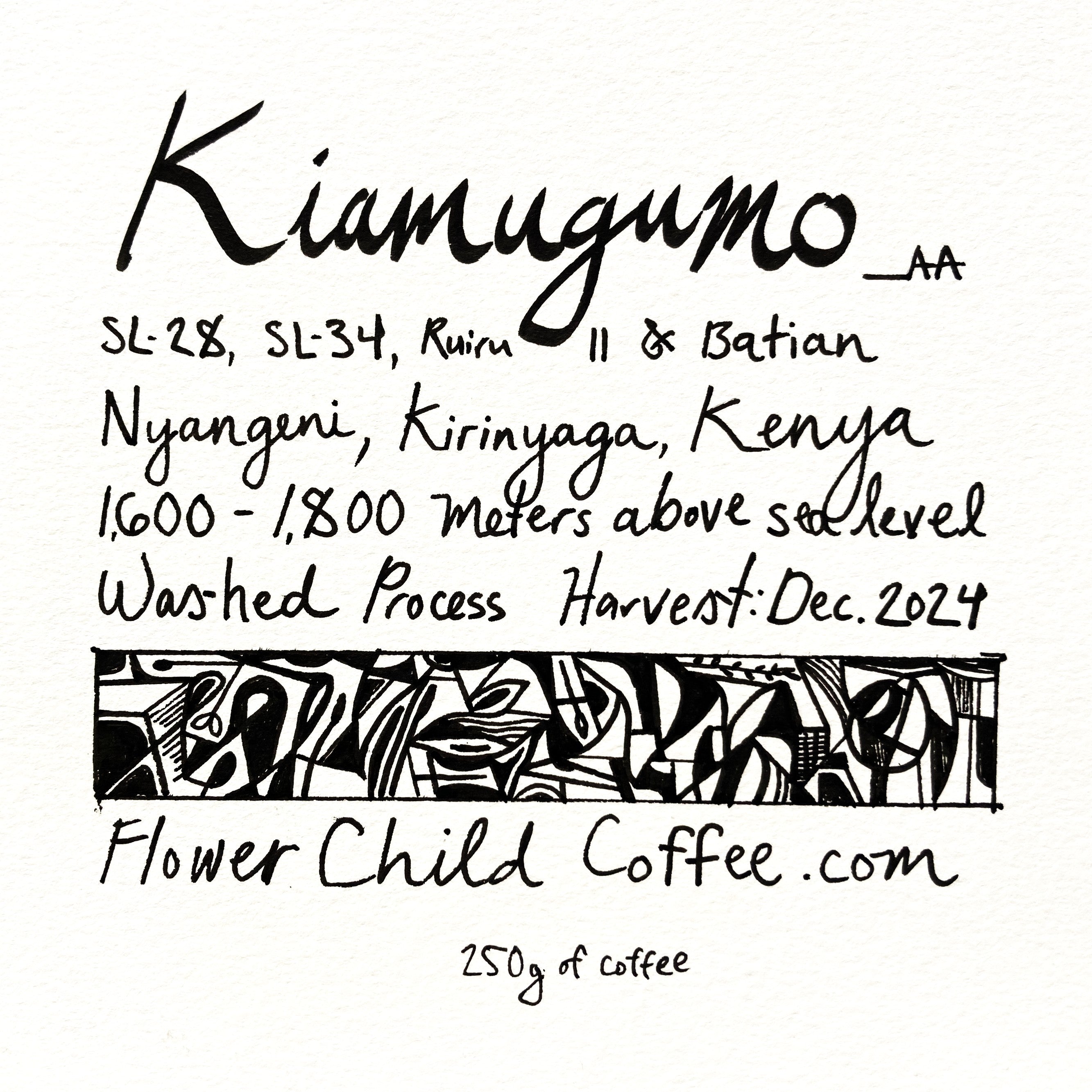 Photo of Kiamugumo