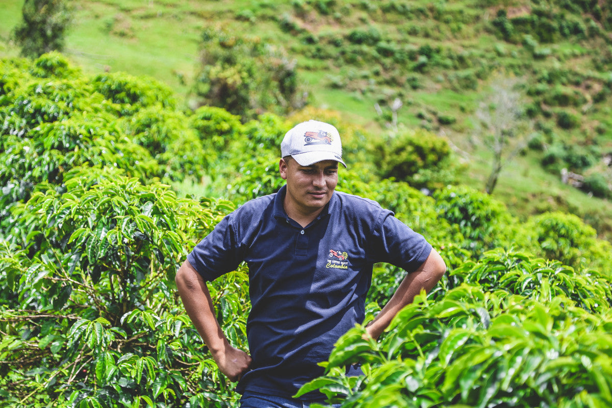 Santiago Caro - Chiroso