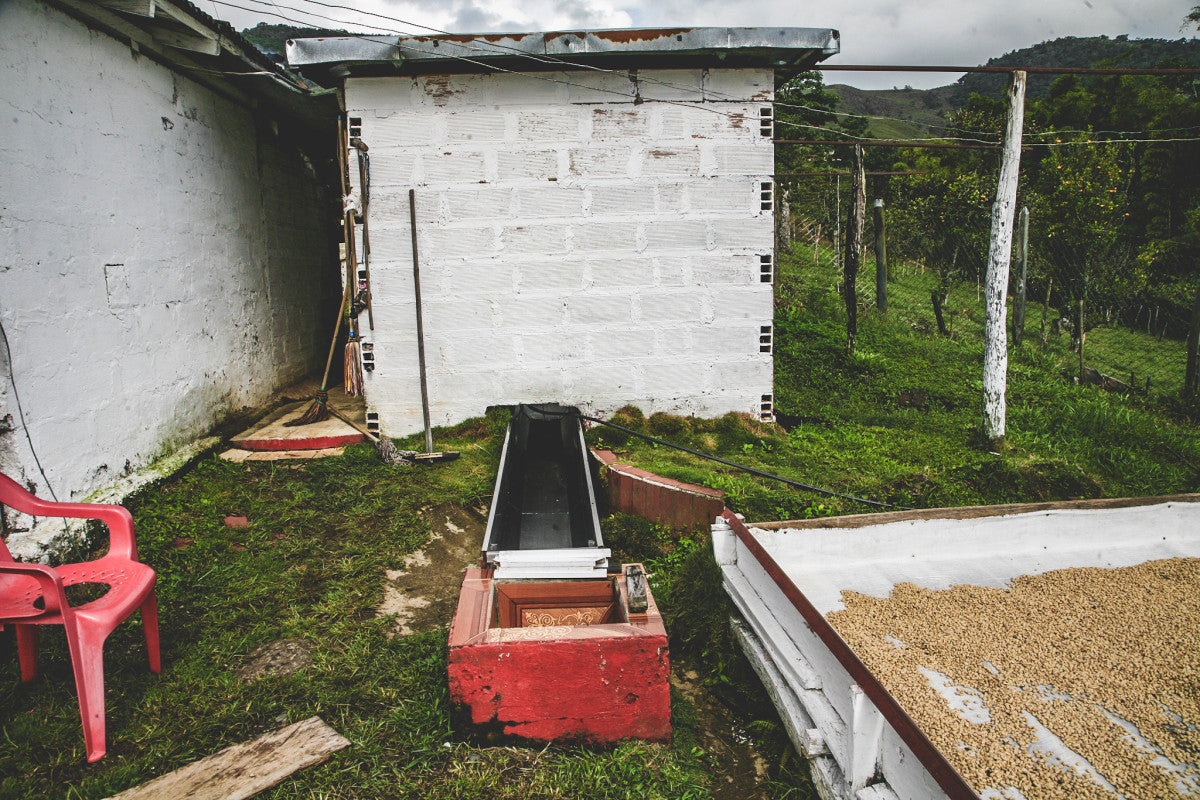 David Berrio