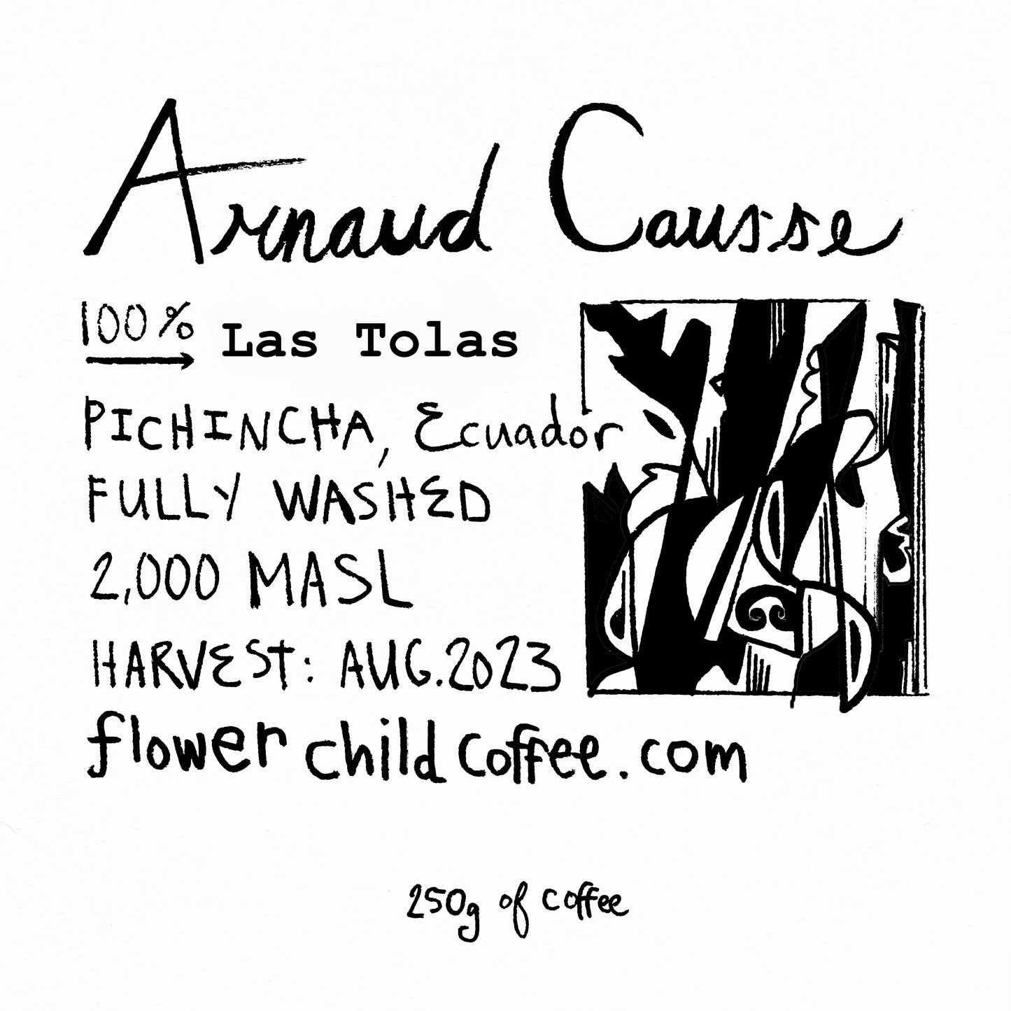 Arnaud Causse - Las Tolas