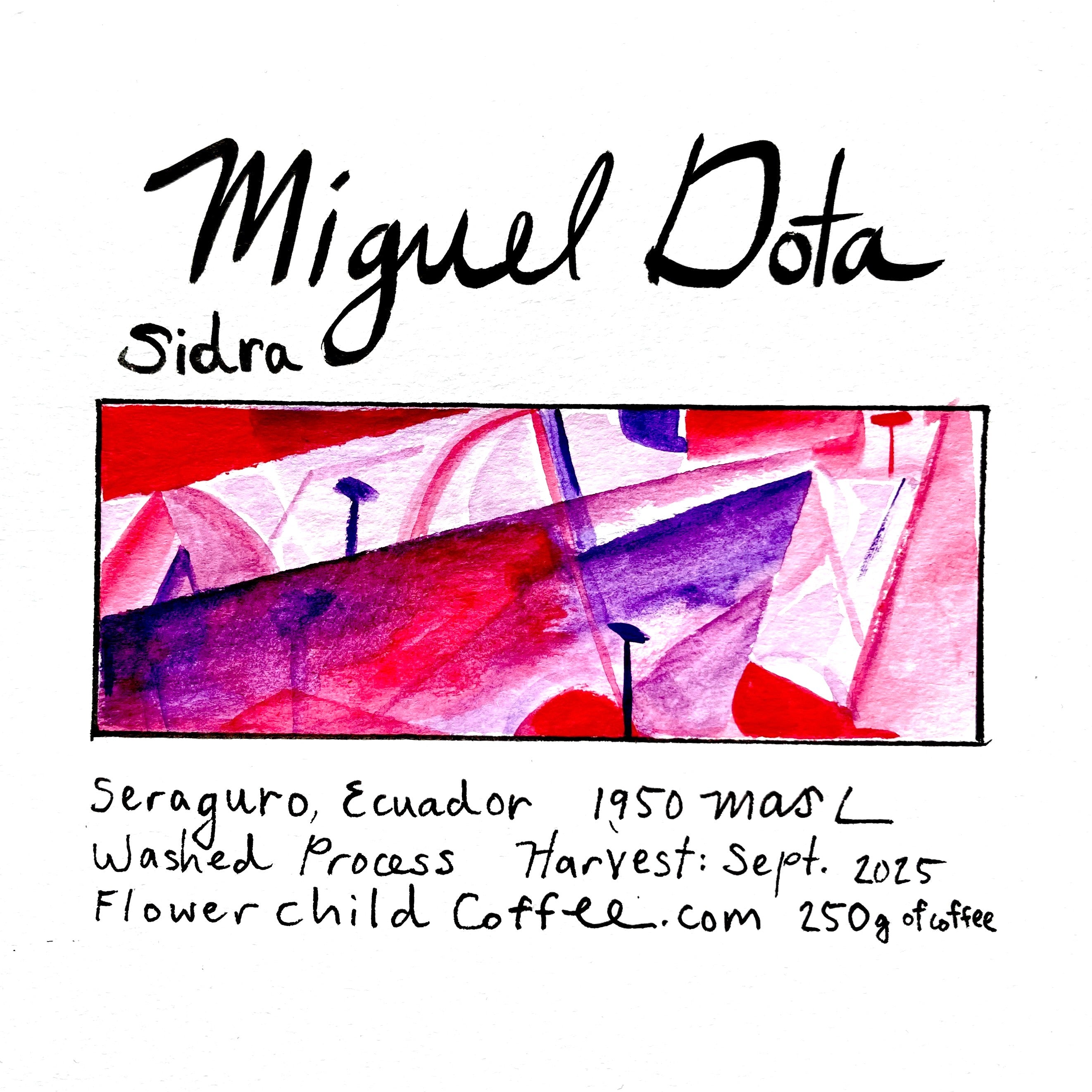 Photo of Miguel Dota
