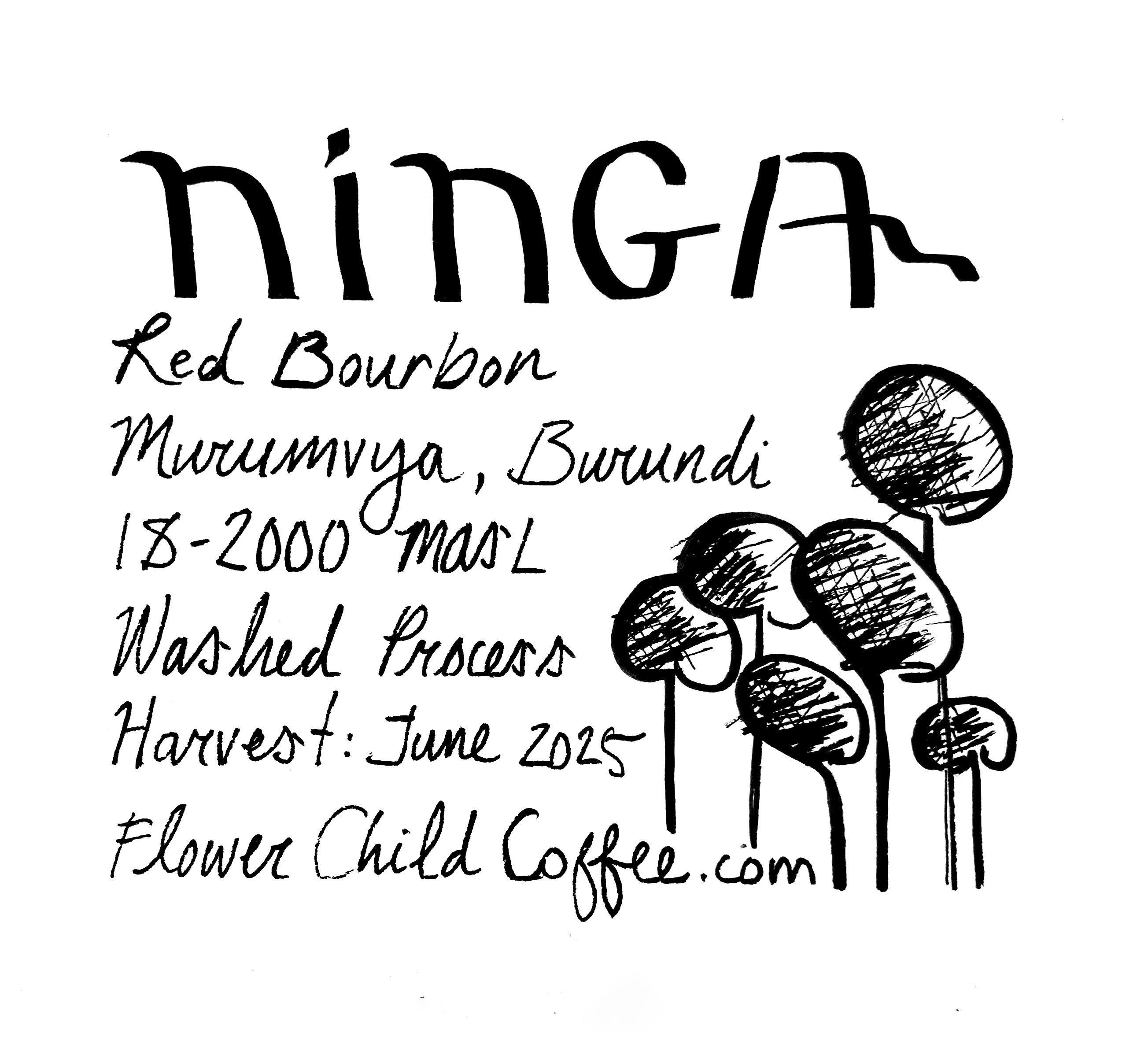 Photo of Ninga