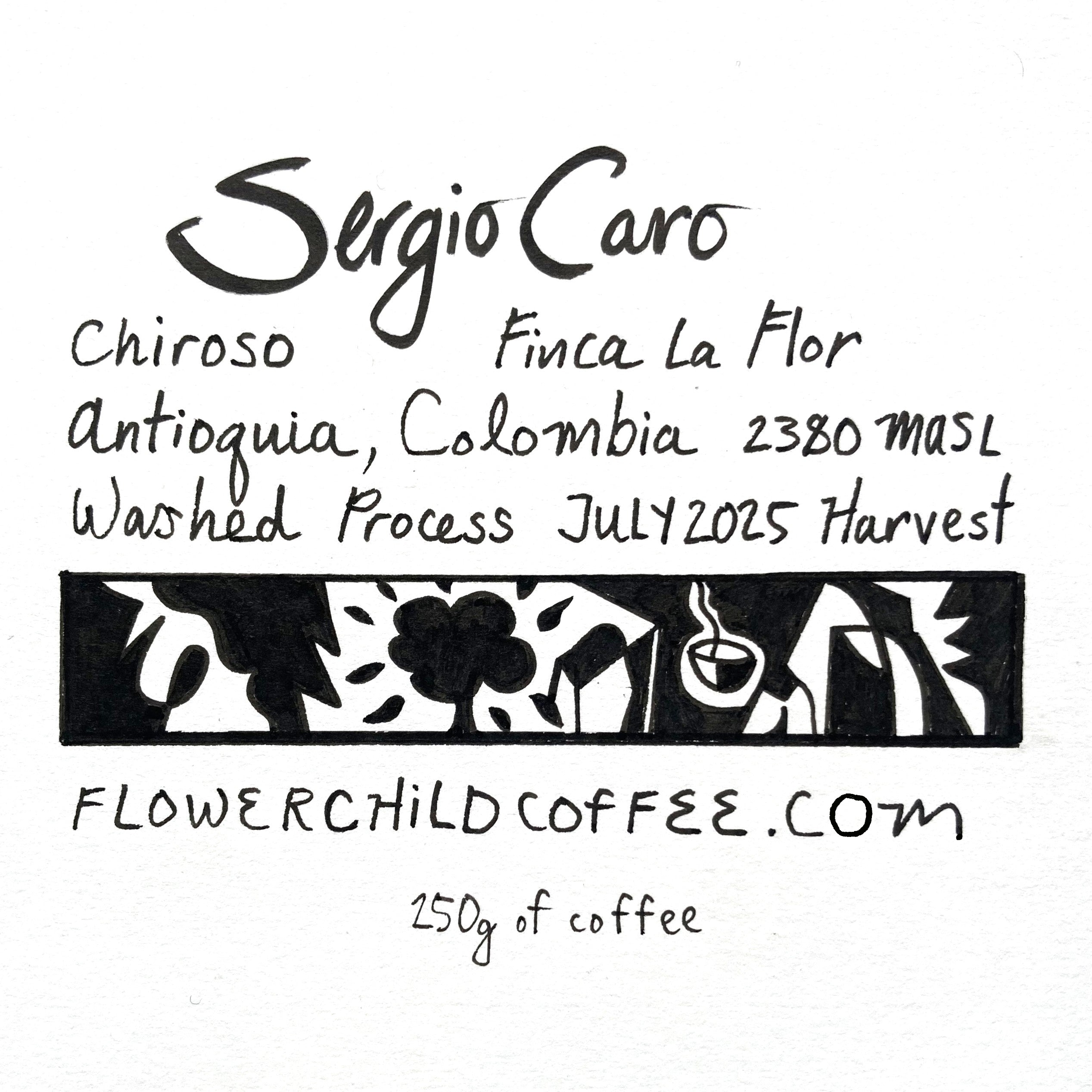 Sergio Caro packshot