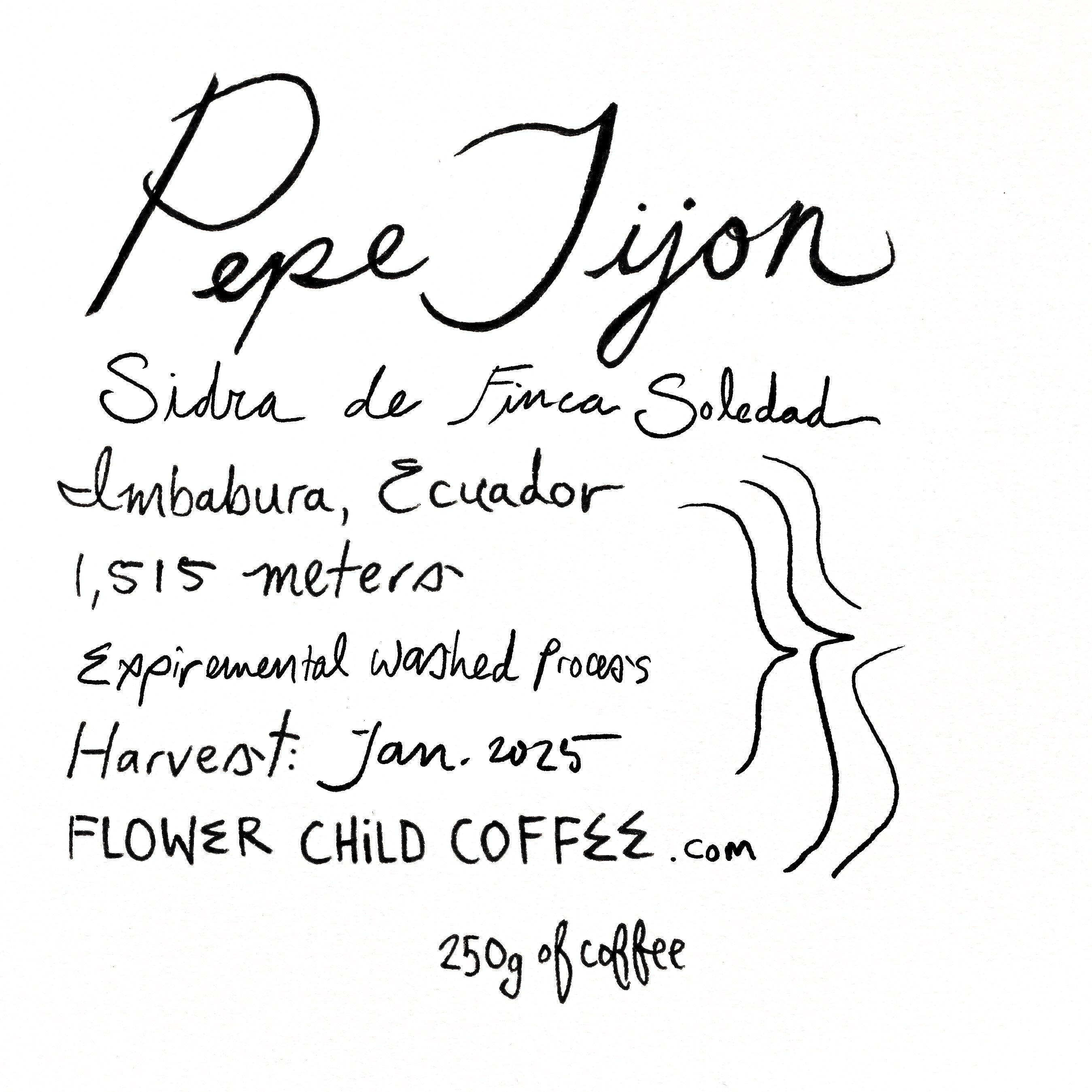Photo of Pepe Jijon Sidra