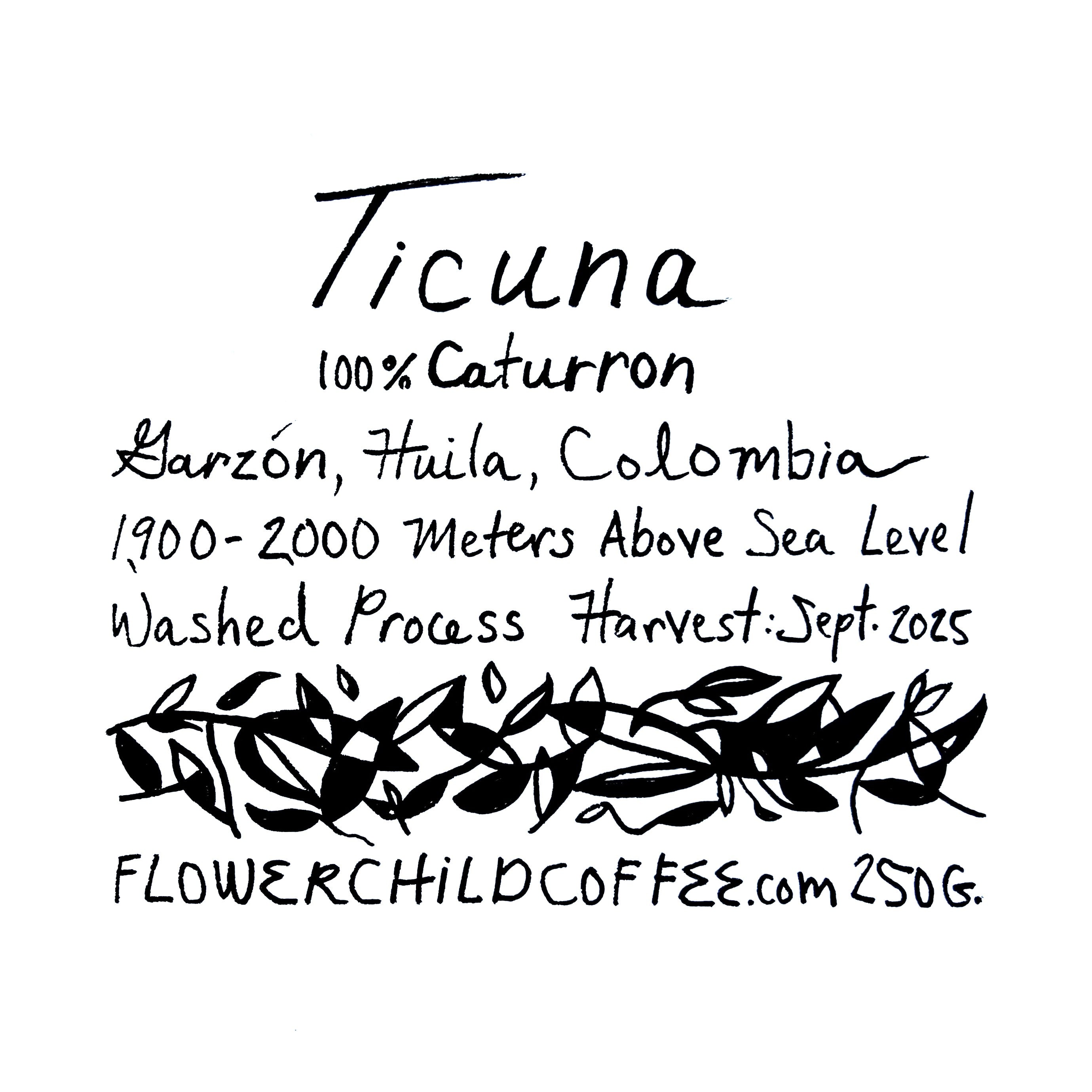 Photo of Cafe Ticuna Caturron