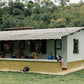 Gloria Cecilia - Chiroso