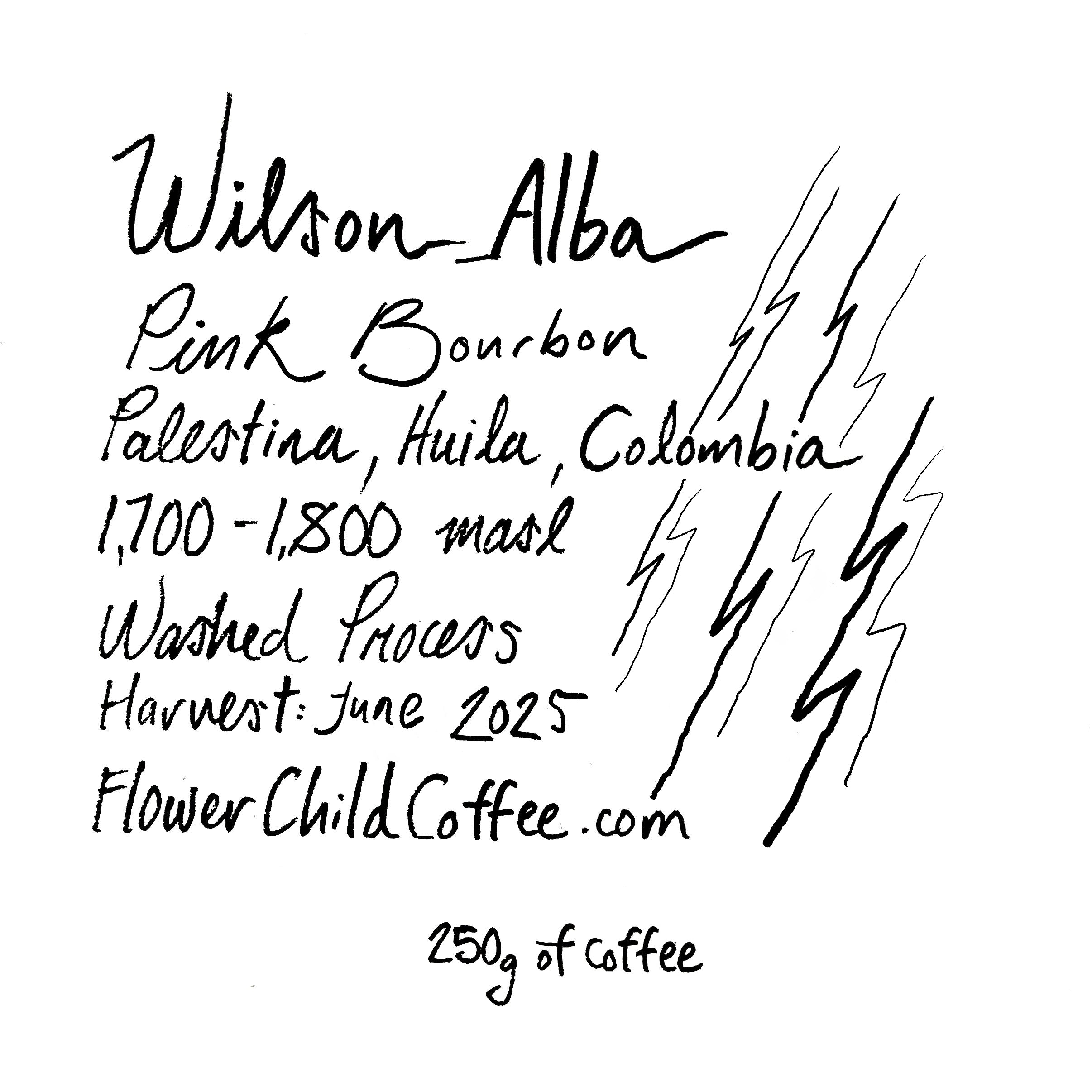 Photo of Wilson Alba