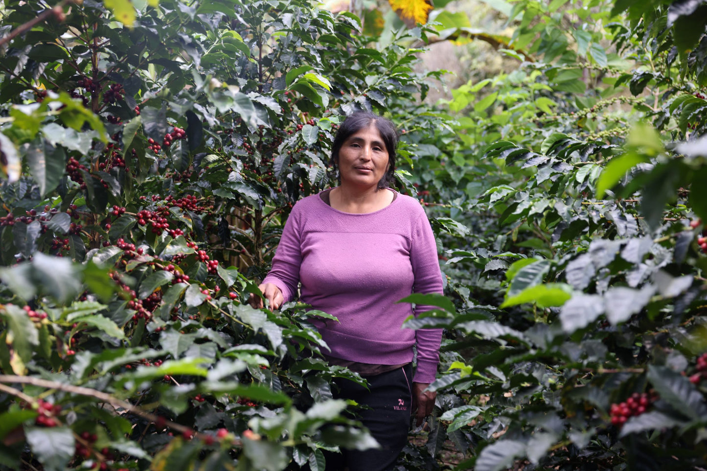 Yesica Ale Llanqui - Gesha